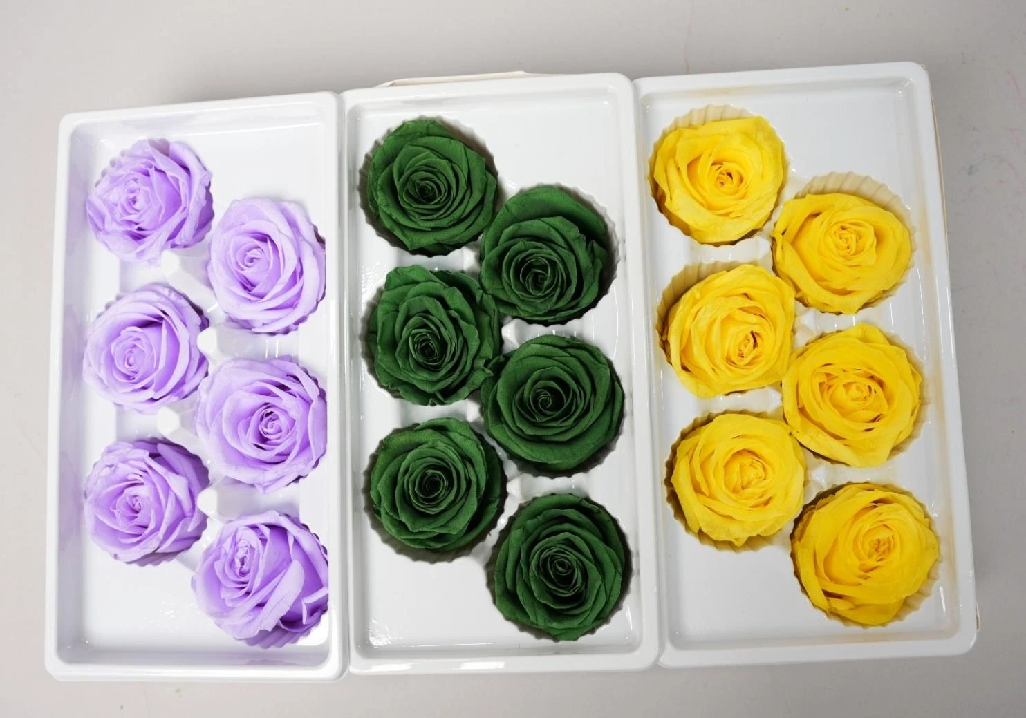 Real Dried Rose * 6